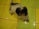DSC08078