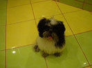DSC08079