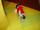 DSC08419