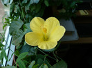 P1350404