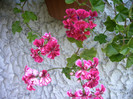 IMAG0022
