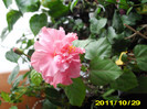 Picture 005