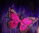 butterfly-chelsamander-colored-hair-dyed-hair-hair-192559