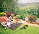 flowers-garden-picnic-192503