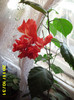 Picture 003