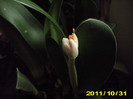 Picture 006