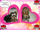 pizap.com13172888492811