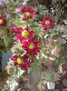 P29-10-11_15.07[3]