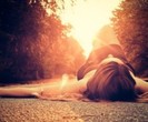 tumblr_ltocktdcvN1qc2n67o1_500_thumb