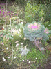 IMGP0855