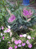 IMGP0880