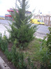 IMGP0893