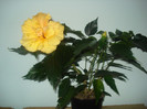 DSC00977