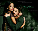 The Vampire Diaries (14)