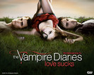 The Vampire Diaries (18)