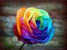 1039863vpehs67a8f