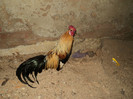 DSC01173
