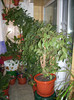 Photo 009