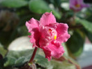 DSC03286