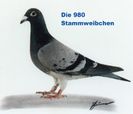 980