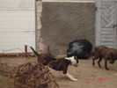 12956988_WYBFNZCYE[1]