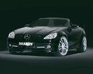 mercedes_brabus13