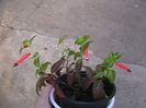 Picture 014