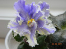 DSCN1282