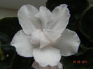 DSCN1287