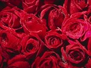 nature_414