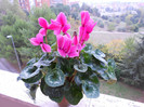DSCN0797