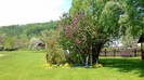 21. In gradina