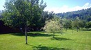 22. In gradina