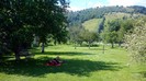 23. In gradina