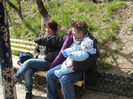 DSCN0386