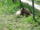 DSCN0388