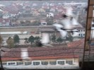 ...............in zbor