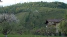 Godeanu primavara
