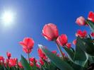 images (19)