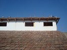 DSC05352