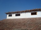 DSC05353