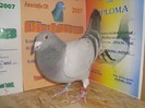 DSC05371