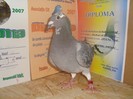 DSC05375