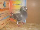 DSC05377