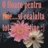 o_floare