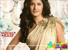 katrina_8_saree