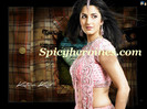 katrina-kaif-pink-saree-photo-shoot-pictures-galleryactress-katrina-kaif-cute-smart-looking-photos