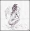 images (8)