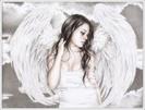 images (12)
