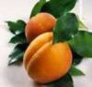 images (25)